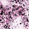 https://misija-ljepote.hr/gel-on-off-artistic-pink